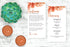 Tropical wedding welcome letter and itinerary cards